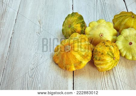 Six yellow and green bush pumpkins on white wood table background right. Garden, agriculture and farming concept.