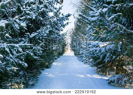 Winter Landscape View On Frozen Lake River