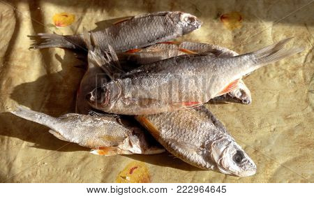 Taranka red rasp, roach appetizing fish to beer salty and delicious