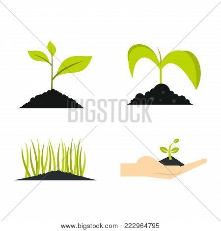 Ground plant icon set. Flat set of ground plant vector icons for web design isolated on white background