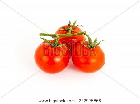 Three Tomato Red Juicy Fruits Branch Of Green On White Background, Vegetables One-piece Symbol Of He