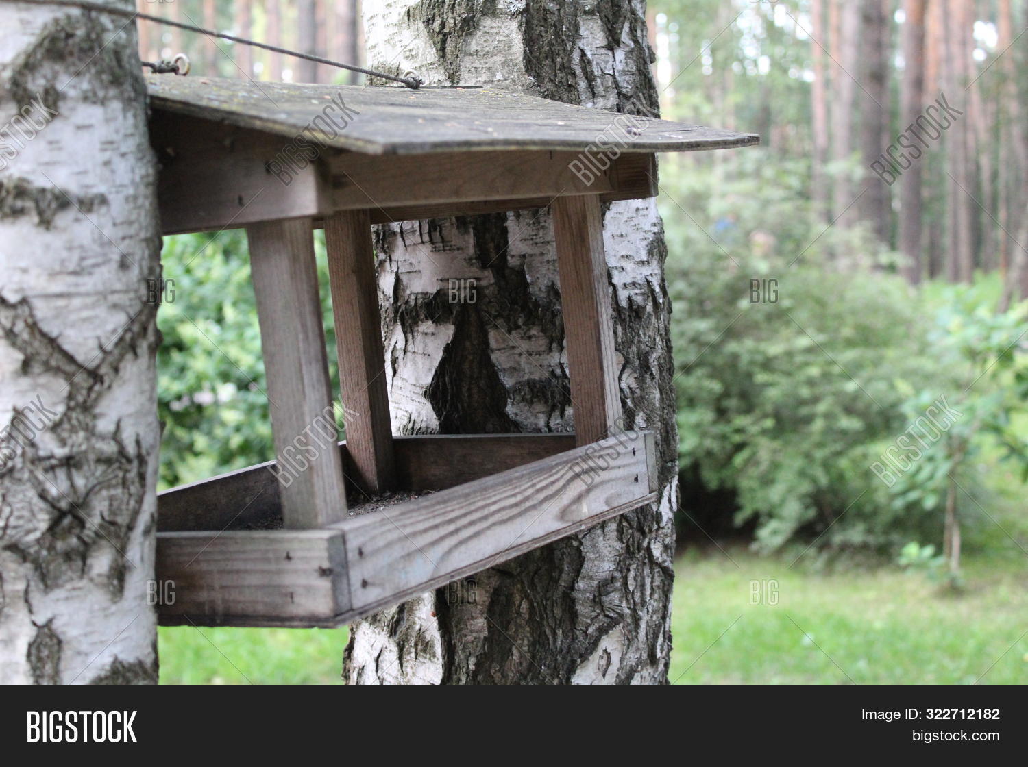 Photo Bird Feeders Image Photo Free Trial Bigstock