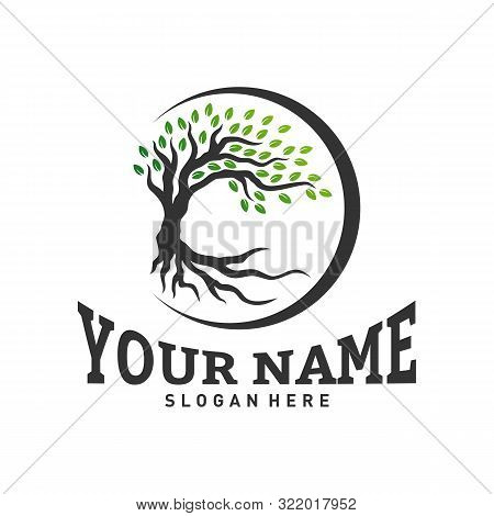 Colorful Vibrant Tree Logo Design Concept Vector. Root Of Tree Life Logo Design Template Inspiration