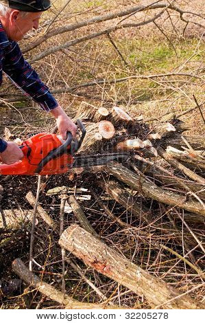 Drwal cięcie drzewa złamane