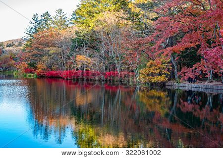 Kumobaike Pond Autumn Foliage Scenery View, Multicolor Reflecting On Surface In Sunny Day. Colorful 