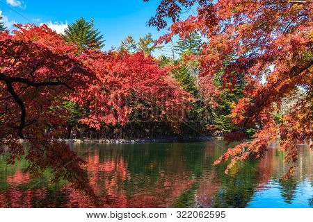 Kumobaike Pond Autumn View, Multicolor Reflecting On Surface In Sunny Day. Colorful Trees With Red, 