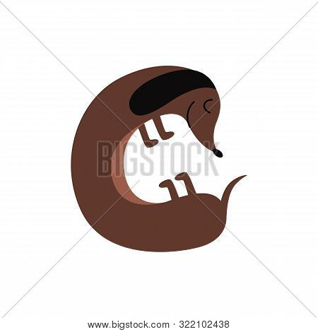 Dachshund Or Teckel Puppy Sleeping Flat Cartoon Vector Illustration Isolated.
