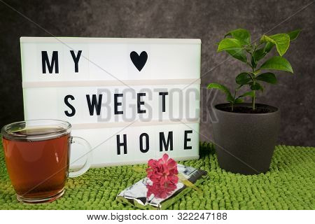 My Sweet Home Concept. Green Grass And Tree On Grey Background