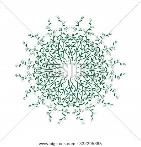 Tanaman Rambat Mandala