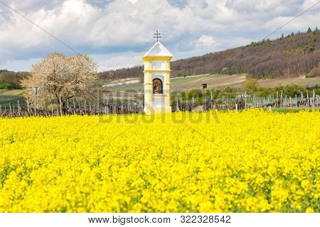 Gods torture near Retz, Austria