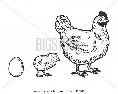 Egg Chicken And Hen Sketch Engraving Vector Illustration. Tee Shirt Apparel Print Design. Scratch Bo