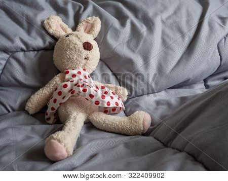 Rabbit Doll That Was Stripped Of Clothes, Statutory Rape Concept