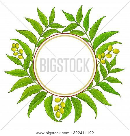 Neem Branches Vector Frame On White Background