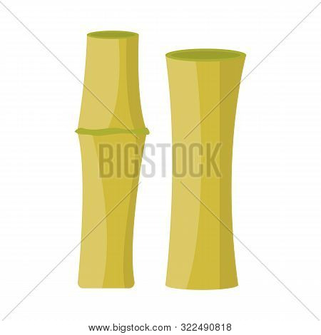 Vector Illustration Of Bamboo And Tree Sign. Collection Of Bamboo And Green Vector Icon For Stock.