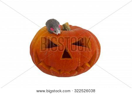 Halloween Pumpkin With Funny Rat Isolated On White Background. Jack Lantern From Juicy Pumpkin. Rat 