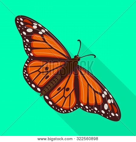 Vector Illustration Of Butterfly And Spring Logo. Collection Of Butterfly And Decorative Vector Icon