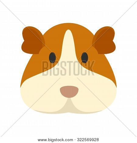 Cavy Face Icon. Flat Illustration Of Cavy Face Vector Icon For Web Design