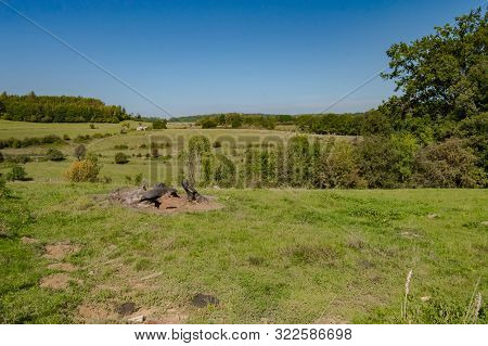 View Of A Hill In A Meadow Of The Gaume In Meix In Front Of Virton Near Virton In Belgium