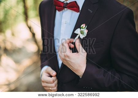 The Groom In A Suit Adjusts The Bouton Floral Traditional Decoration For Groom, An Accessory On Fest
