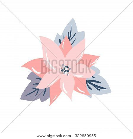 Isolated Vector Illustration Of A Christmas Star Flower Poinsetia, Pastel Color