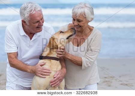 Happy senior couple playing with their dog on the beach