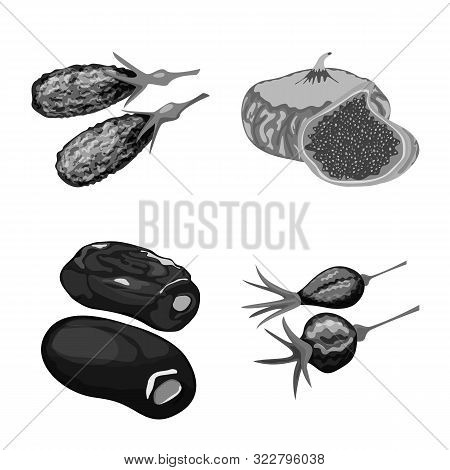 Vector Illustration Of Vitamin And Nature Icon. Set Of Vitamin And Dried Vector Icon For Stock.
