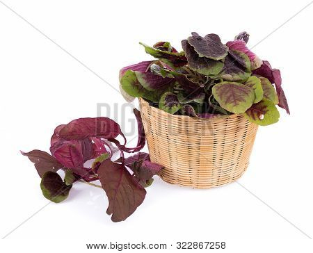 Closeup Red Spinach Isolated On White Background