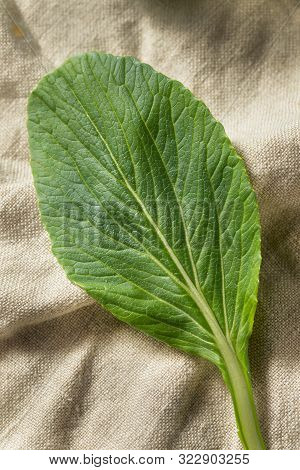 Raw Green Organic Chinese Gai Lan