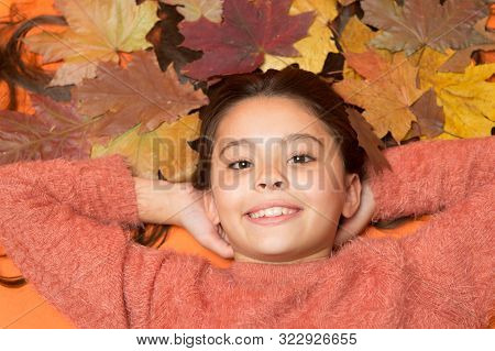 Moisturizing Mask. Deep Conditioning Treatment To Combat Static And Tangles That Come With Fall. Hai
