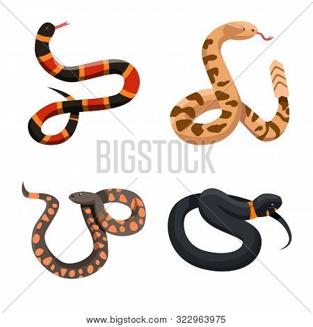 Vector Design Of Snake And Creepy Sign. Set Of Snake And Danger Stock Symbol For Web.