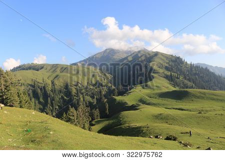 Siri Pay In Pakistan, Neutral Beauty  Of Pakistan