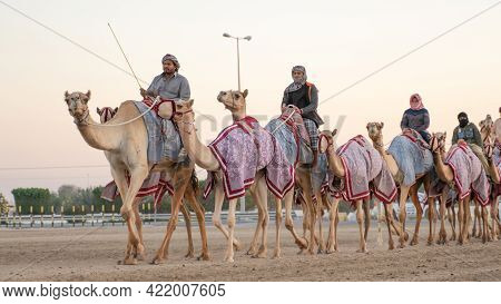 Ash-shahaniyah, Qatar- March 21 2021 : Jockeys Taking The Camels For Walk In The Camel Race Tracks.