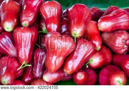 Group Of Fresh Sweet Red Rose Apple Fruit Pile At The Market