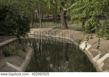 Pond With Water In The Park Close-up Outdoors As A Background
