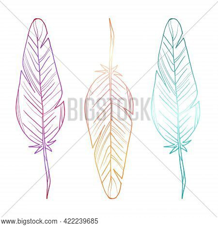 Set Of Three Feathers. Bright Gradient. Vector Illustration. Isolated Objects On A White Background.