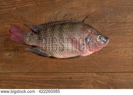 Fresh Nile Tilapia Mango Fish Nilotica Fish On Ice And Wooden Background.