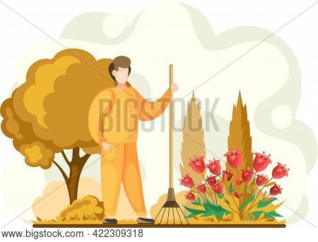 Man Gathering Seasonal Harvest, Remove Leaves With Rake, Works On Yard With Flower Bed. Agricultural