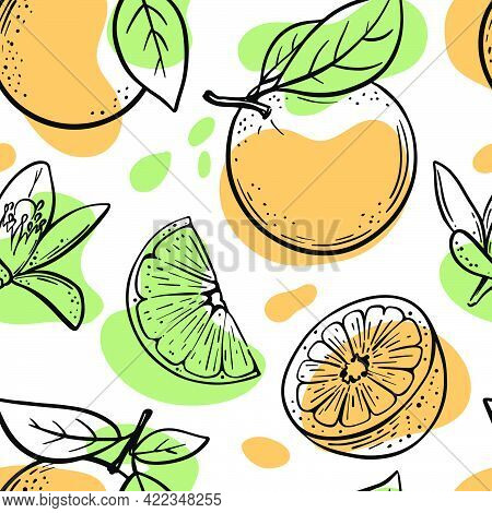 Citrus Backdrop Abstract Delicious Orange Fruit With Leaves And Cut In Half For Your Design Hand Dra