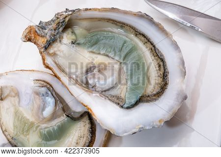 Eating Of Fresh Big Raw Fine De Claires Vertes Green French Oysters From Marennes-oleron