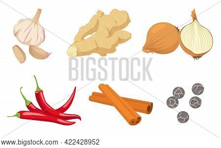 Collection Of  And Vegetables. Garlic, Onion, Chili, Dried Peppercorns, Pimento, Ginger, Cinnamon Is