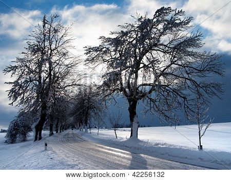 winterliche Ansicht der Struktur gesÃ¤umten StraÃŸe mit Schatten Baum Sonne und bewÃ¶lkten Himmel