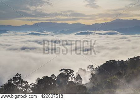 Khao Khai Nui, Sea Of Fog In The Winter Mornings At Sunrise, New Landmark To See Beautiful Scenery A