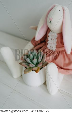 Plush Toy Hare In A Dress And Succulent In A White Keremical Pot.