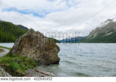 View Over A Meadow With Flowers And Silvaplanersee Along Swiss Engadin