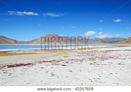 Salt Lake In Ladakh