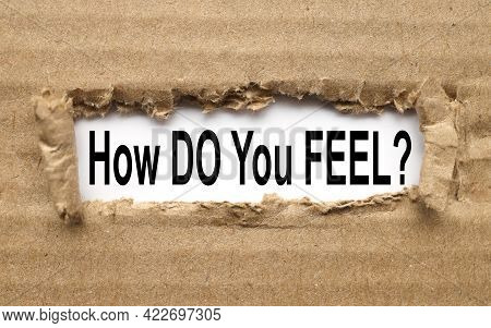 How Do You Feel Question - Isolated Tex In Vintage Letterpress Wood Type