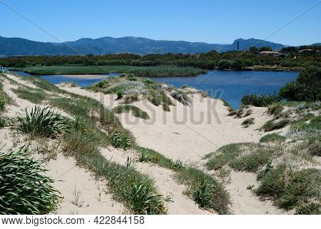 View Of The Coghinas River In The Pirotti Li Frati Beach