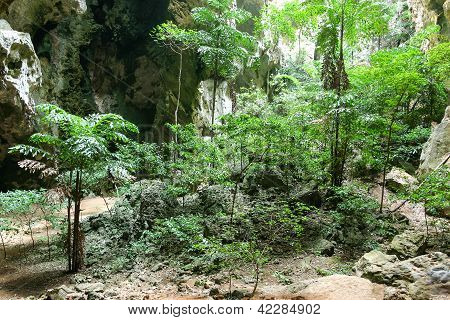 Kouzelné tropické horské jeskyně