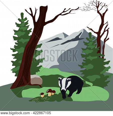 Badger In The Autumn Forest On The Background Of Mountains Vector Stock Illustration. Fallen Leaves,
