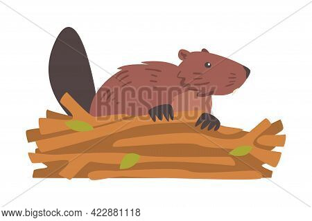 Beaver Gnawing Log, Brown Rodent Wild Mammal Animal Cartoon Vector Illustration